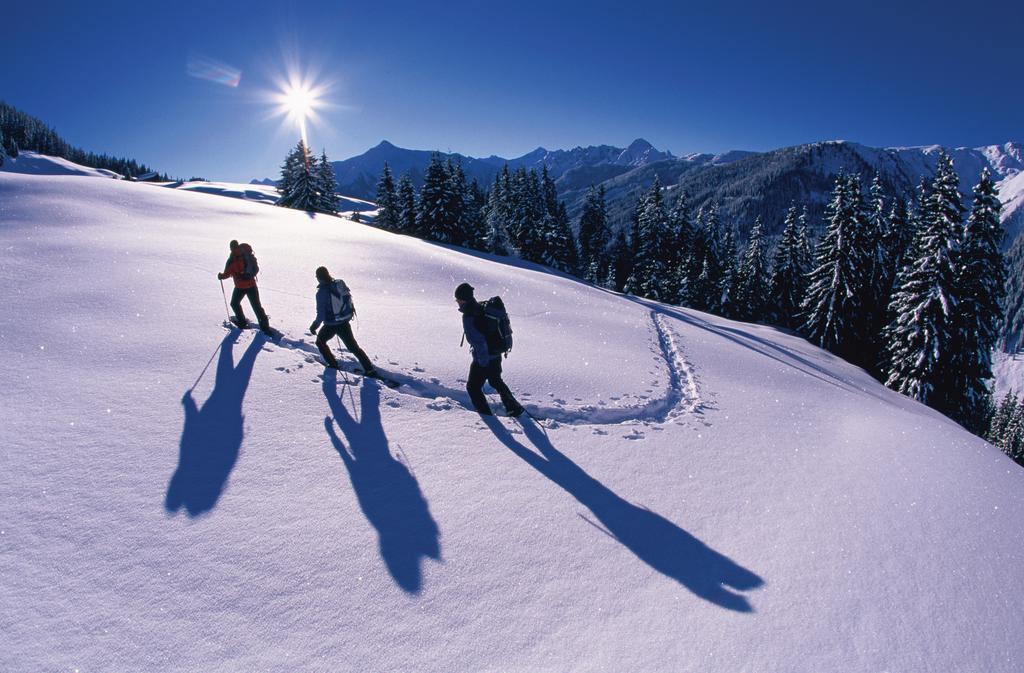 Alpina Zillertal . Family Lifestyle Kinderhotel 푸겐 외부 사진